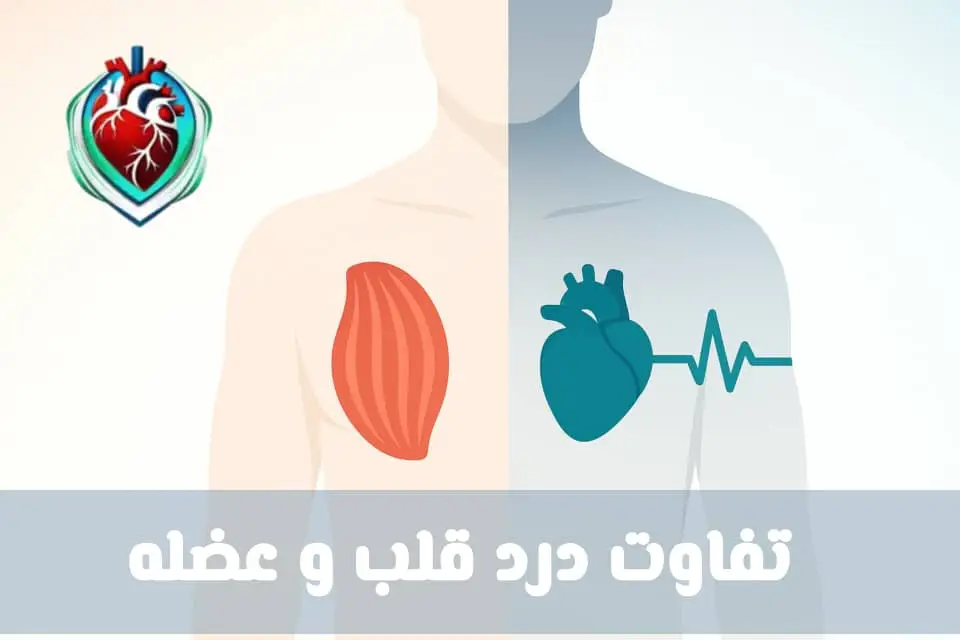 تفاوت درد قلب و عضله | تشخیص علائم و نشانه‌ها